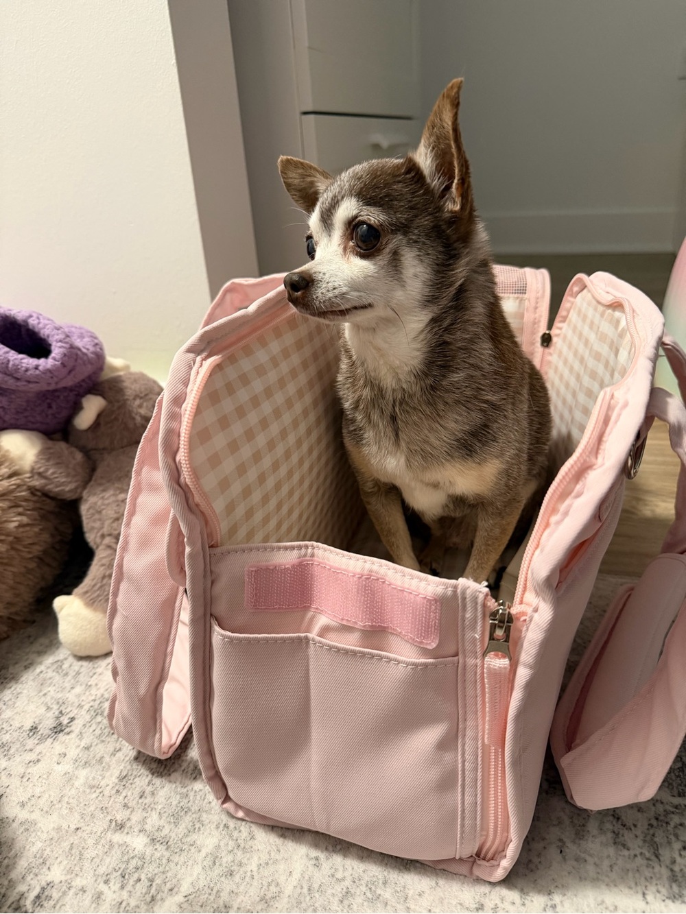 Pet Travel Carrier Bag for Small Pets - Pink